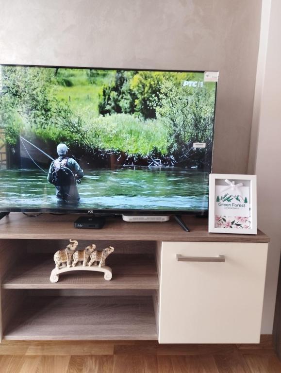 Green Forest Lux Apartman - 5