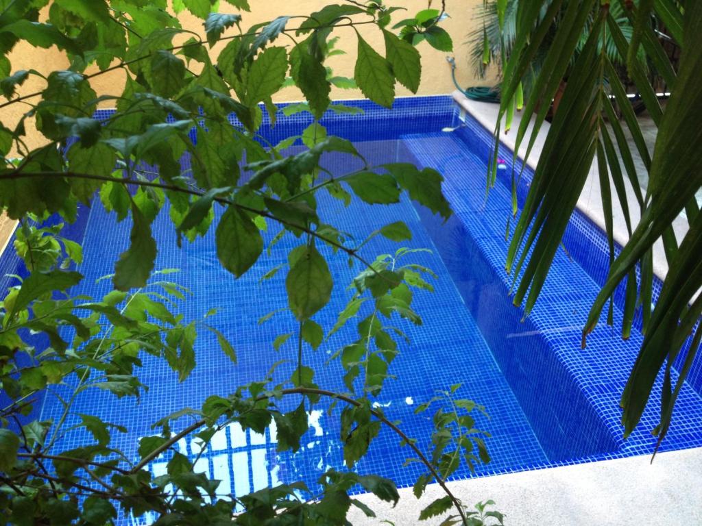 Hotel Las Salinas photo