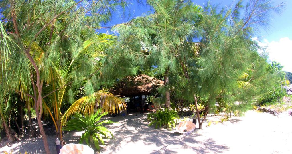 Surrounding environment