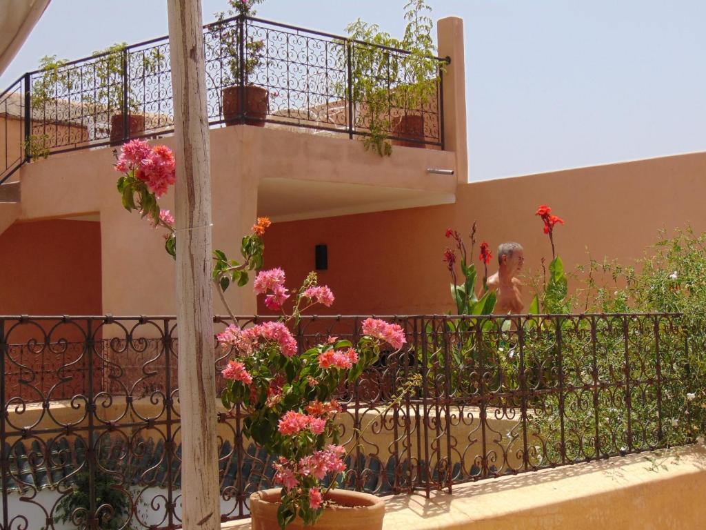 Riad Chameleon photo