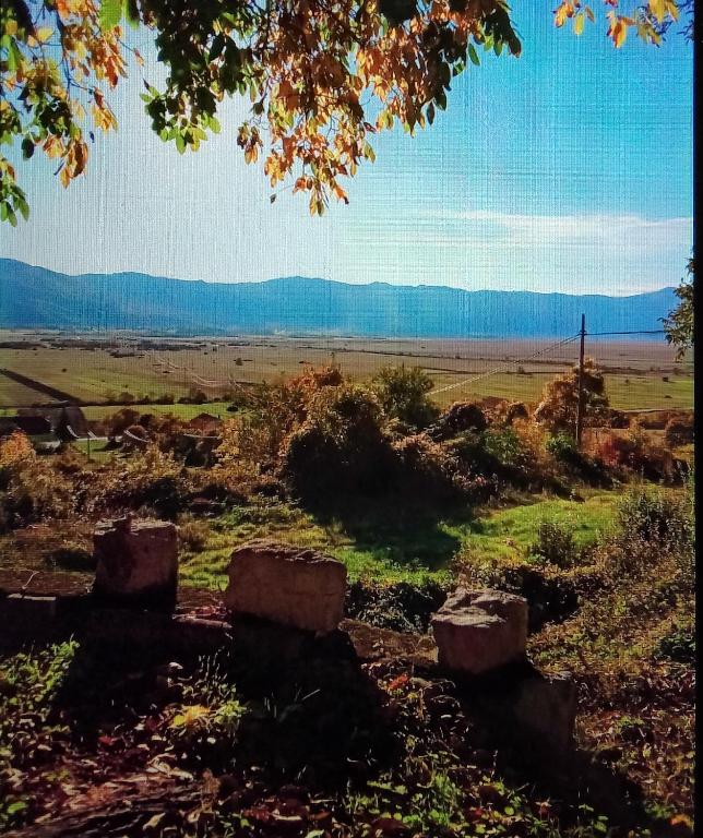 Barun apartman, Lusnić