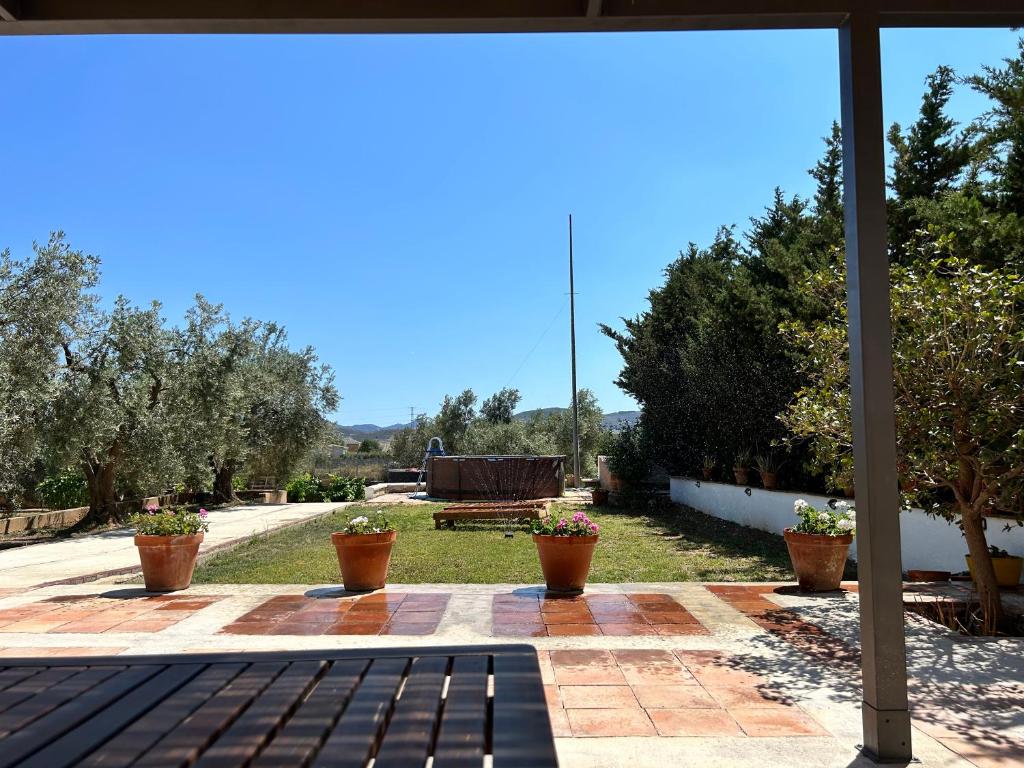 Cortijo el llano - 4