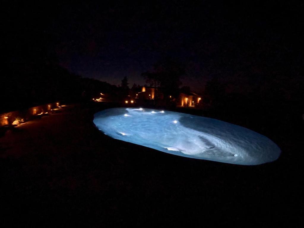 スイミングプール