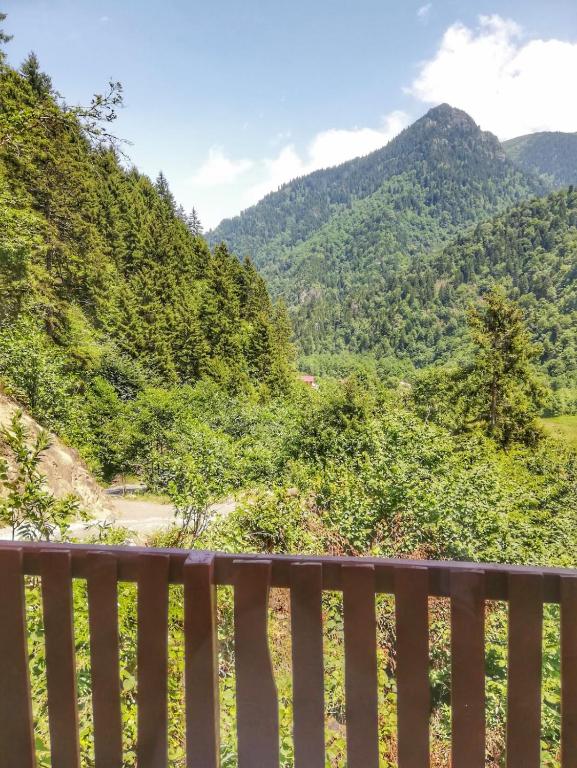 Ladin Manzaralı Dag evi photo