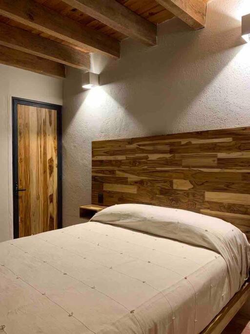 Galeana art house/historic center - 4