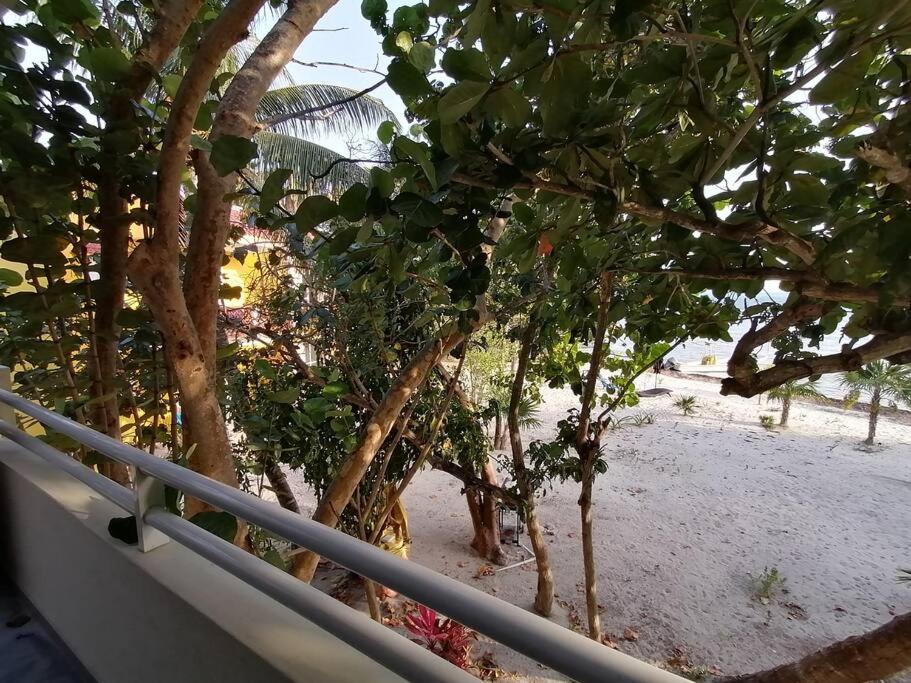 Marysol beachfront next to nomads d4 - 5