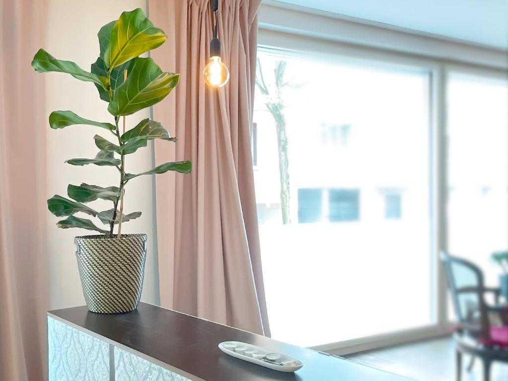 presence: grosszüges Loft_ bis 6 Pers_zentral - 3
