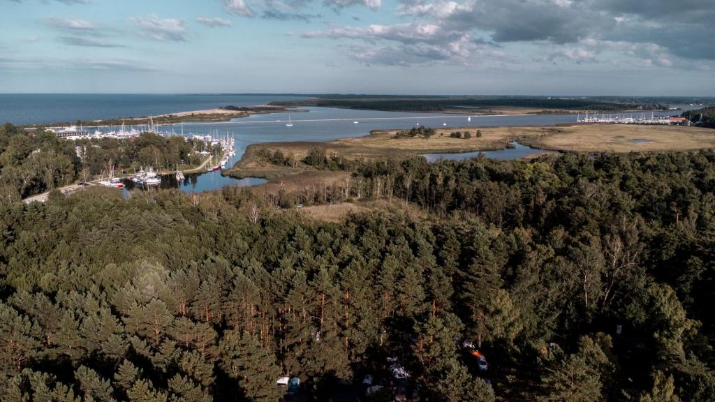 Camp Bursztynowy Las photo