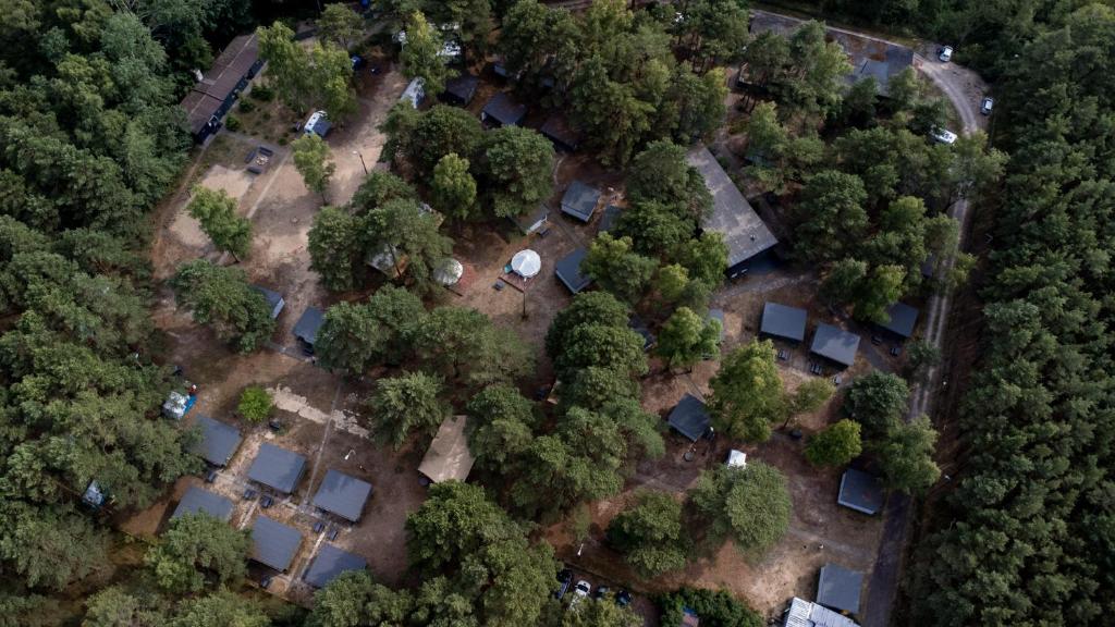 Camp Bursztynowy Las photo