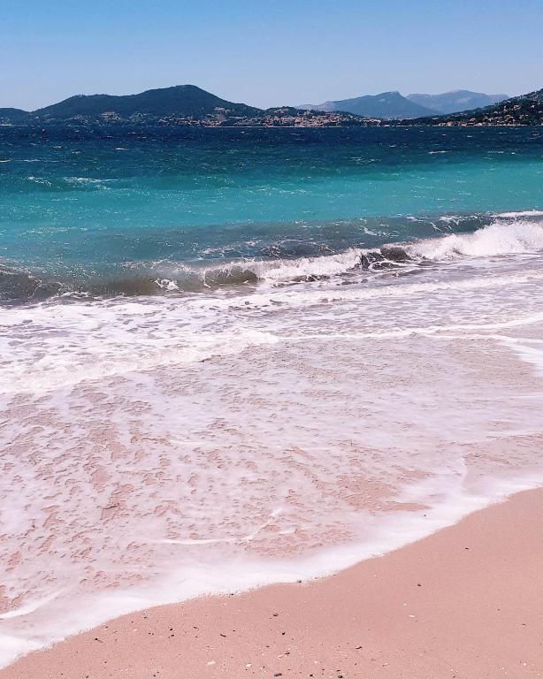 50 m2 - Le PORT, HYERES - 3