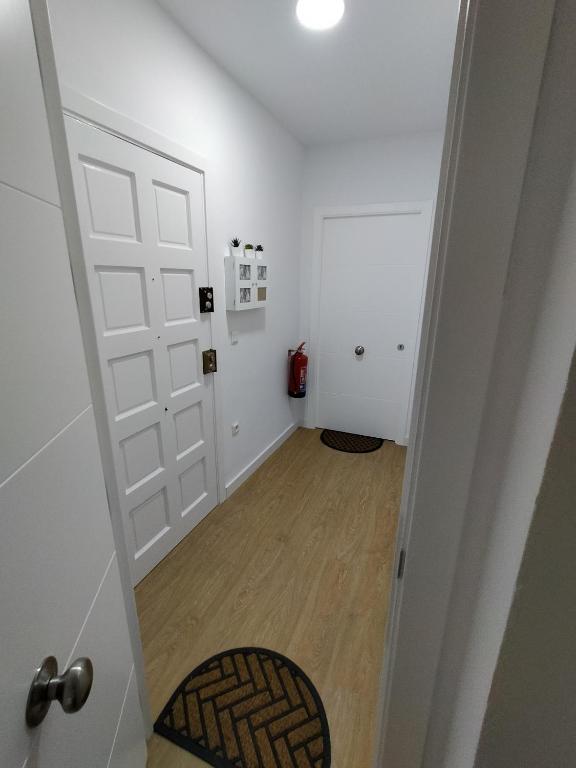 apartamentos Larios centro - 2
