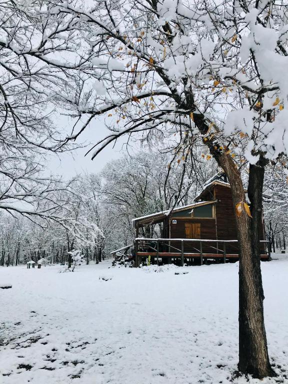 NOMADE cabin rent - 4