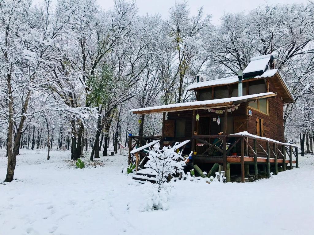 NOMADE cabin rent - 5
