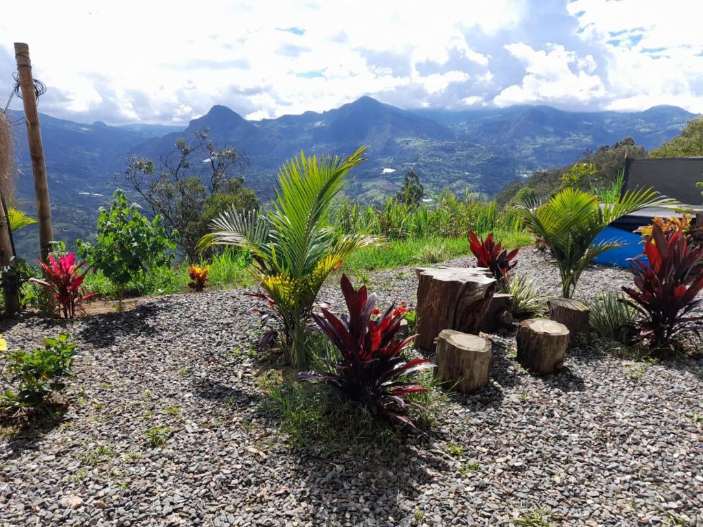 IslaMontaña Glamping - 3