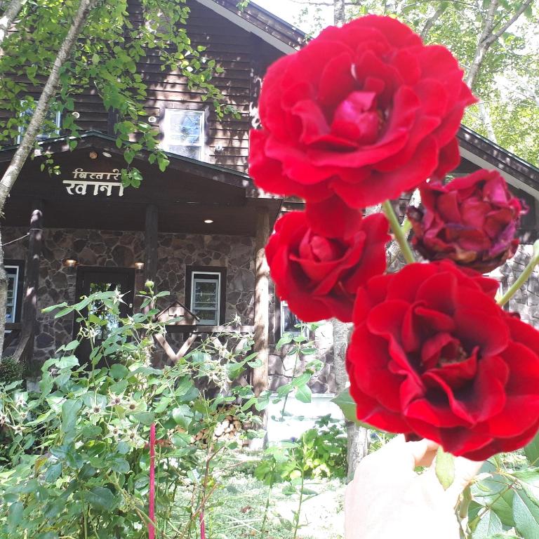 المنظر الخارجي