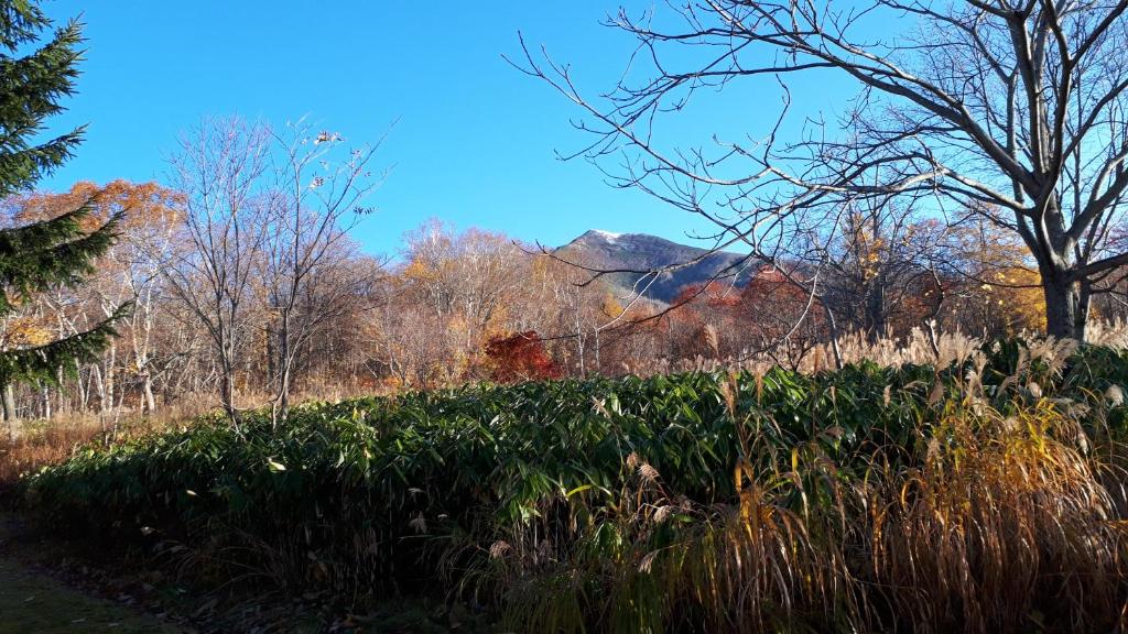 Surrounding environment