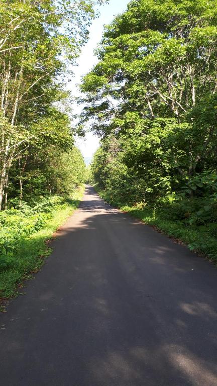 المنطقة المحيطة