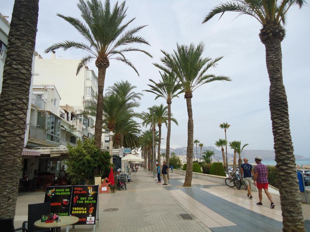 holiday hogar altea - 2