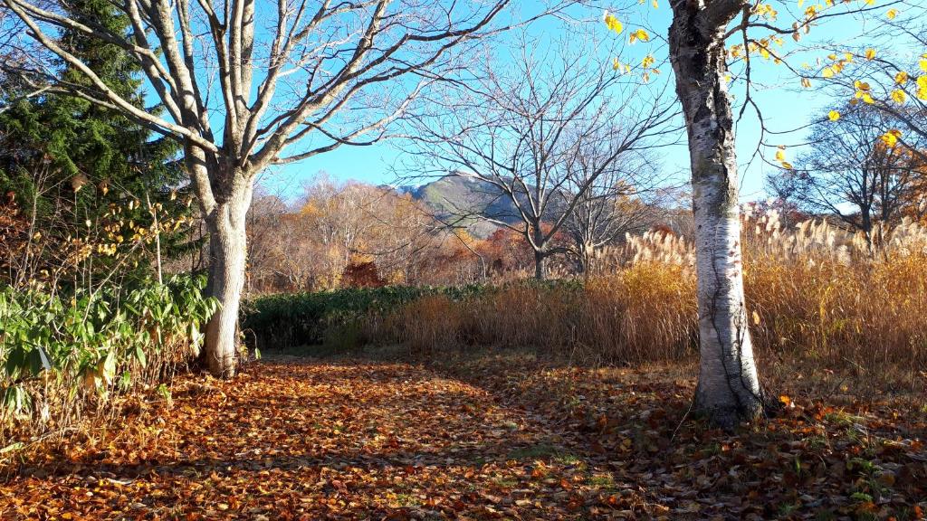 Surrounding environment