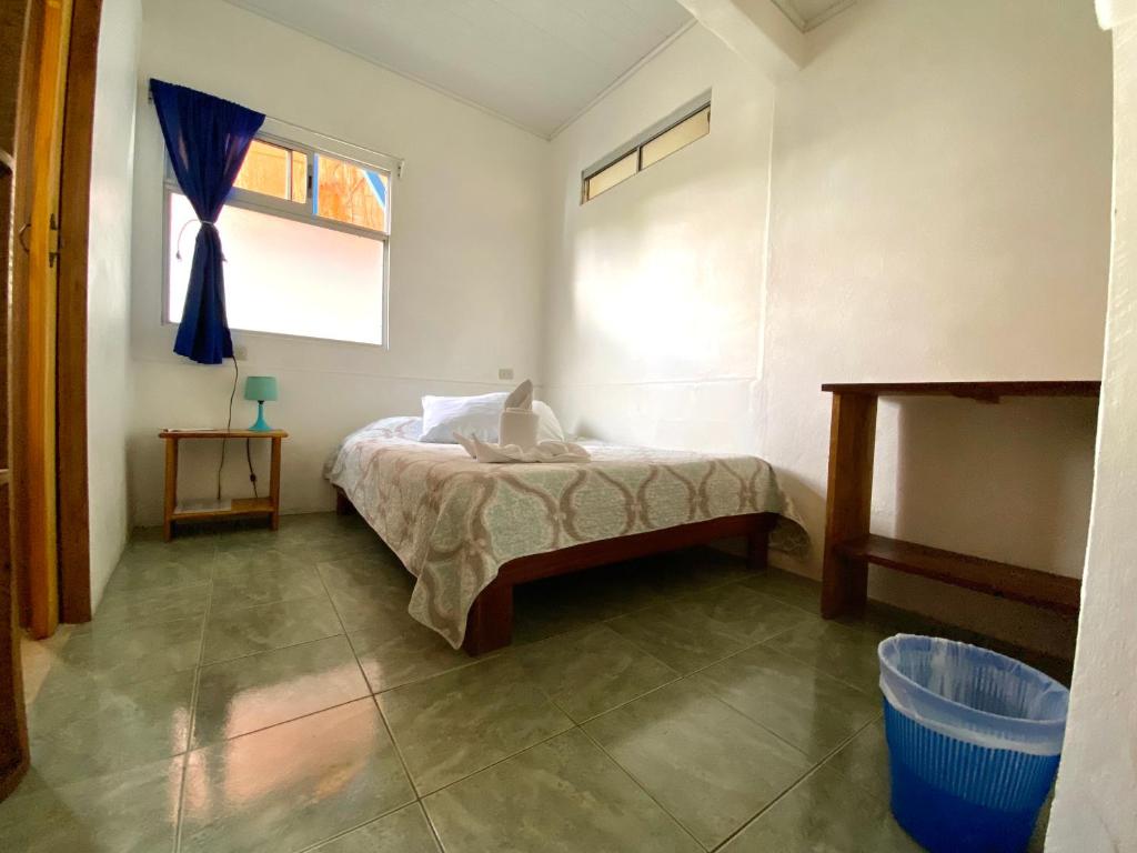 Cabinas Nuestra Kasa photo