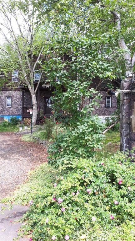 المنظر الخارجي