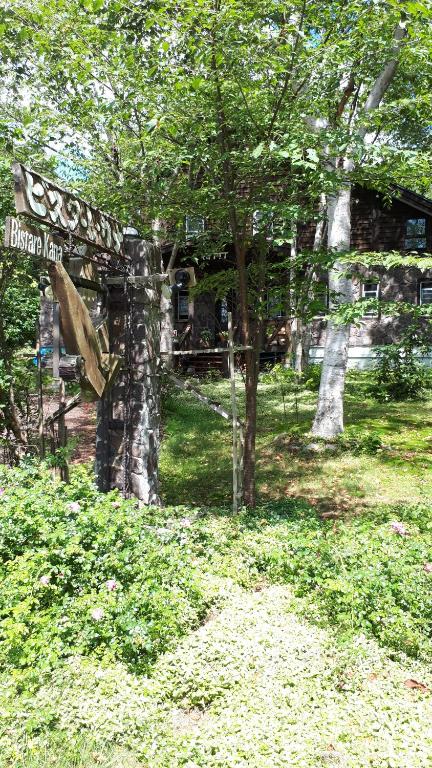 المنظر الخارجي