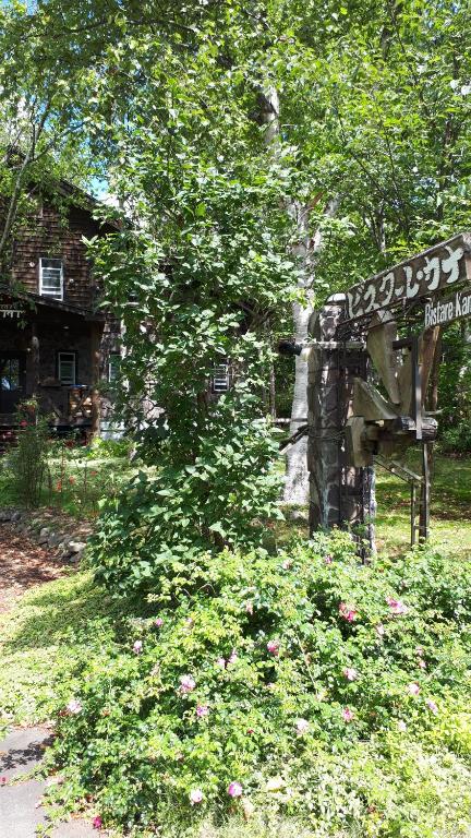 المنظر الخارجي