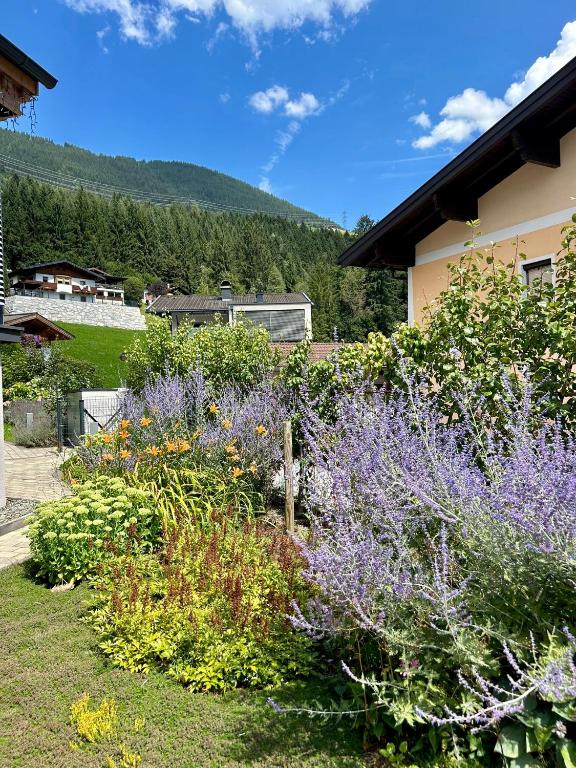 Ferienwohnung Wald - 2