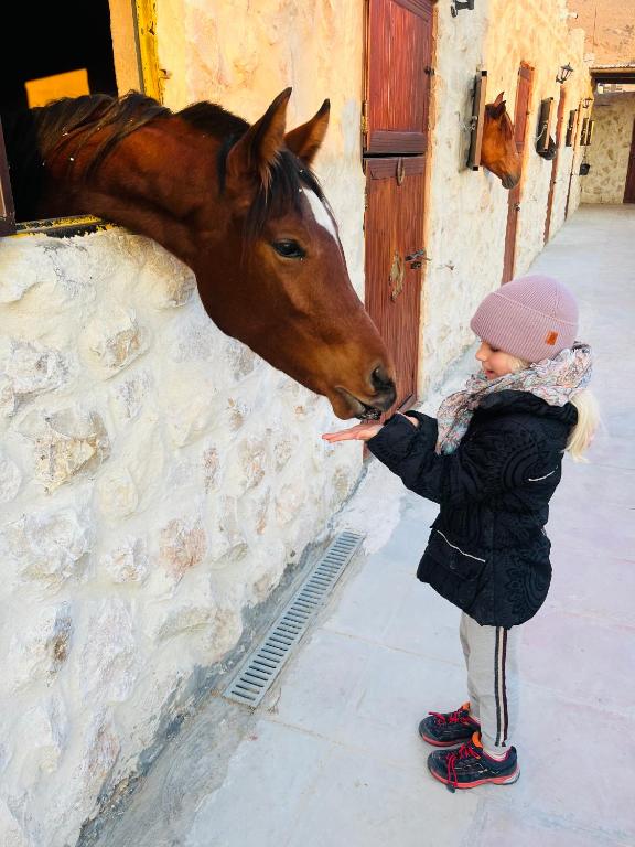 Petra Royal Ranch photo