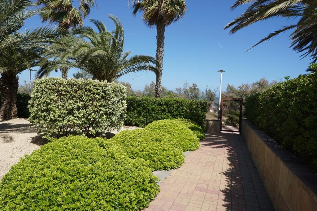 Estrella del Mar II - 3