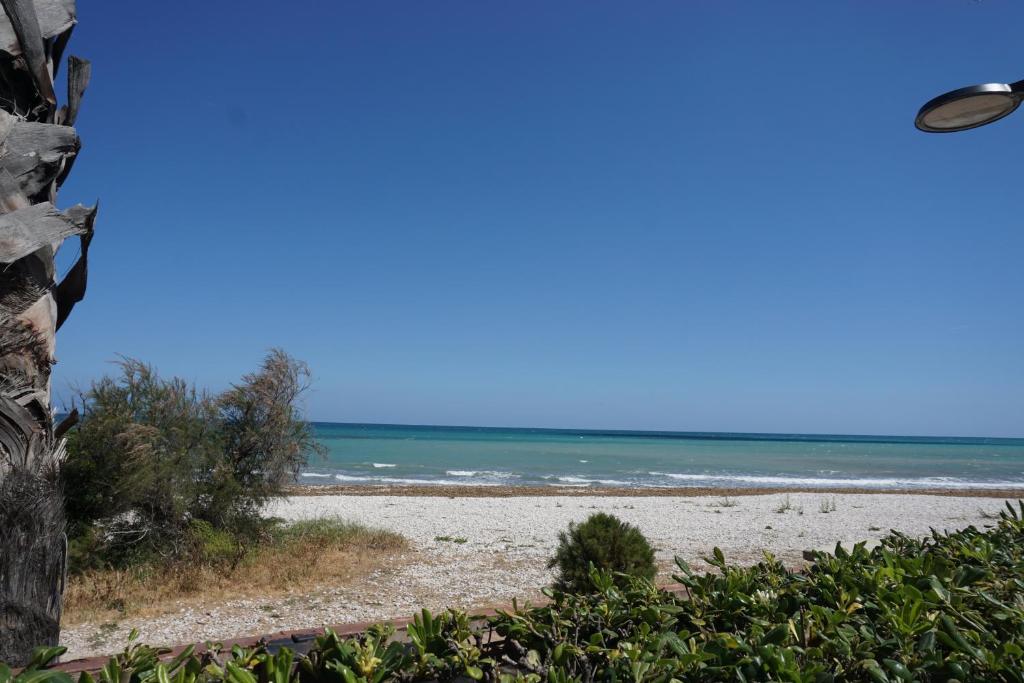 Estrella del Mar II - 5