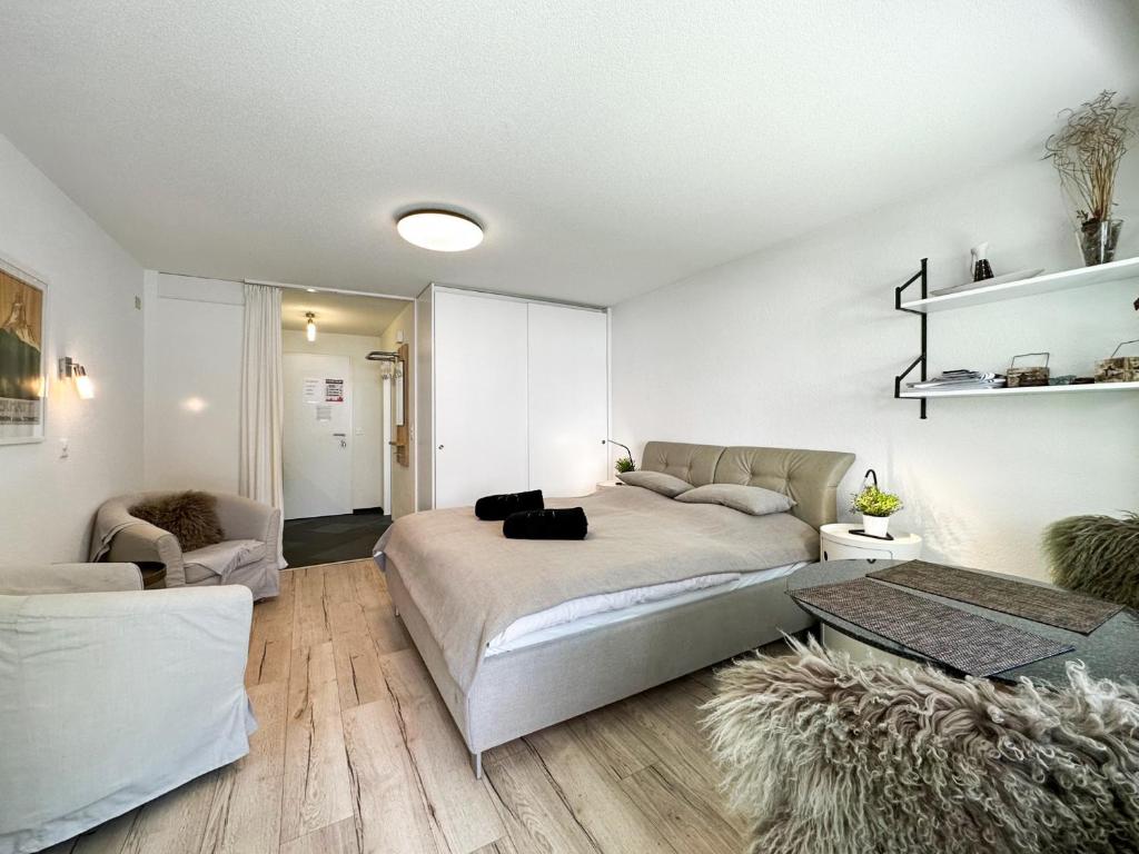 Studio Marmotta - Zermatt - 4