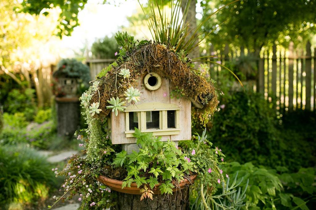 Garden