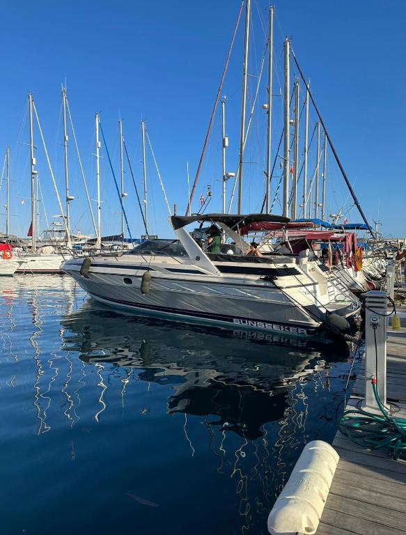 Boat in Puerto de Mogán, Puerto de Mogán