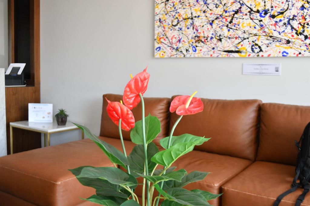 Hotel Esfera Tulancingo photo