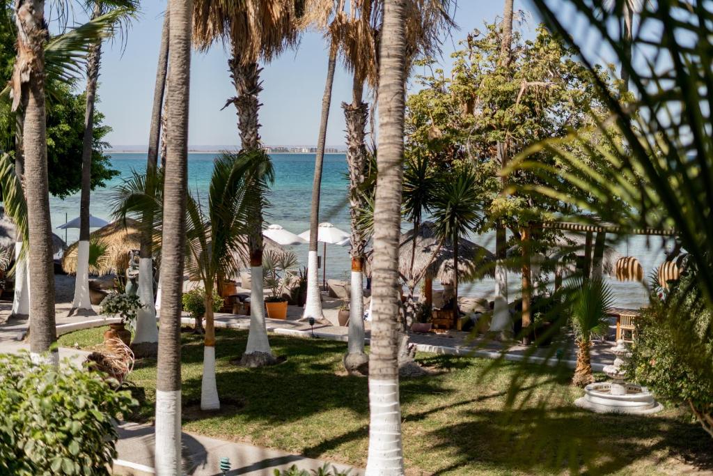 La Concha Beach Hotel & Club photo