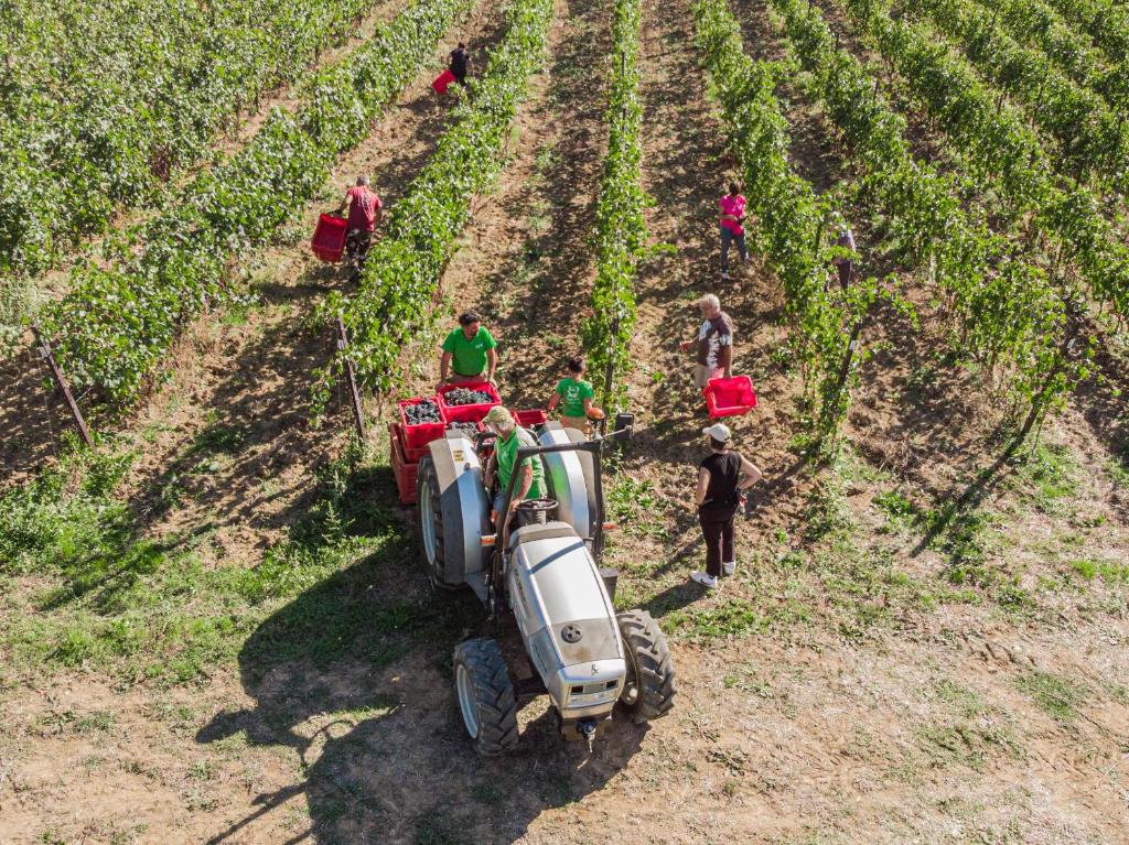 Il Querciolo - Azienda biologica, Agriturismo e Cantina photo