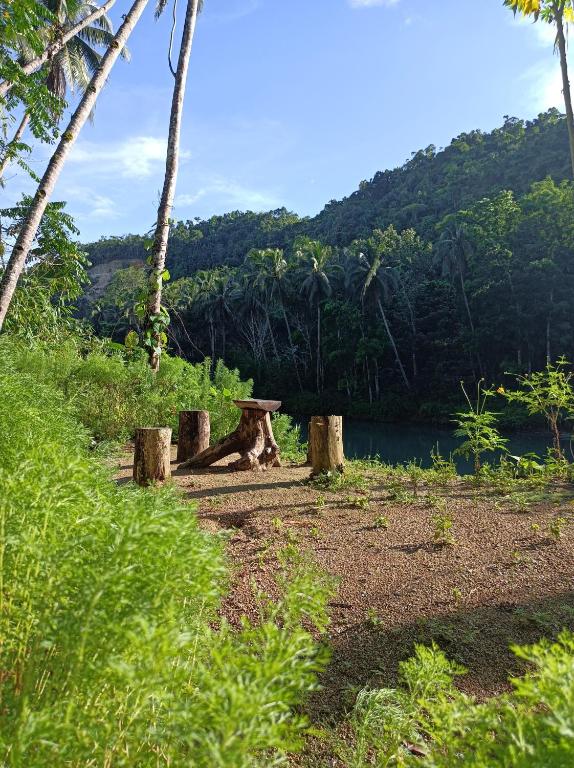 Nuts Huts photo