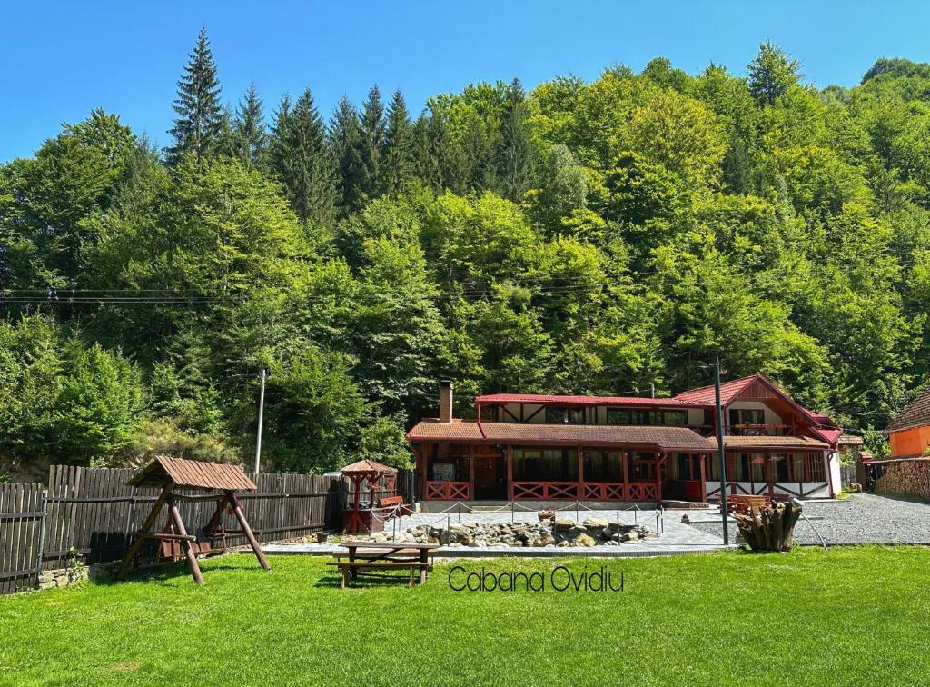 Cabana Ovidiu — Hotel in Rau Sadului