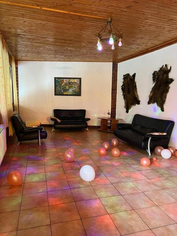 Cabana Ovidiu photo