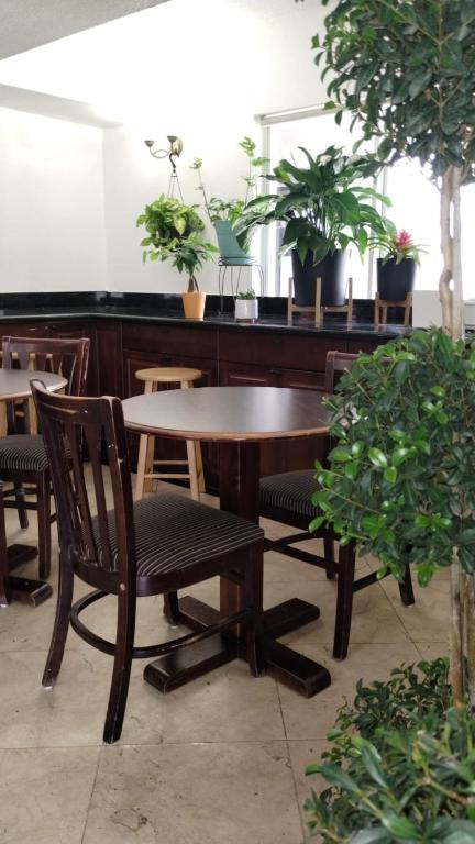 Food and beverages, Super 8 by Wyndham Dania/Fort Lauderdale Airport in Fort Lauderdale (FL)