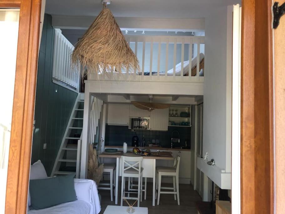 Villa Clade: Chaleureuse et agréable maison de plage - 1