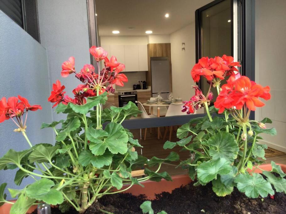 HyP - Los Geranios, Redondela