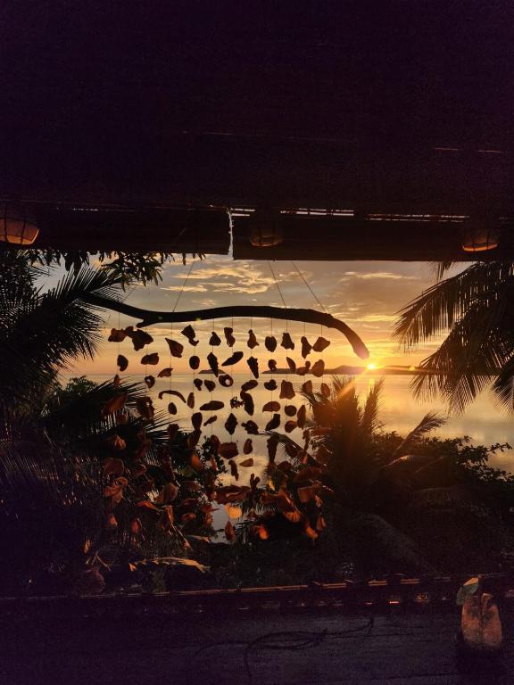 Cocovana Beach Resort photo