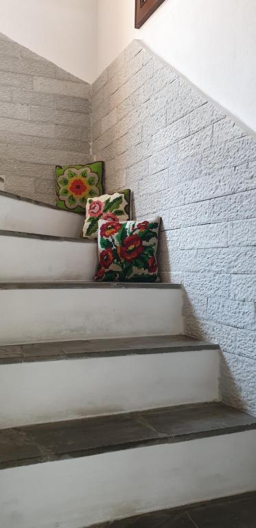 Silver Hill Guesthouse photo