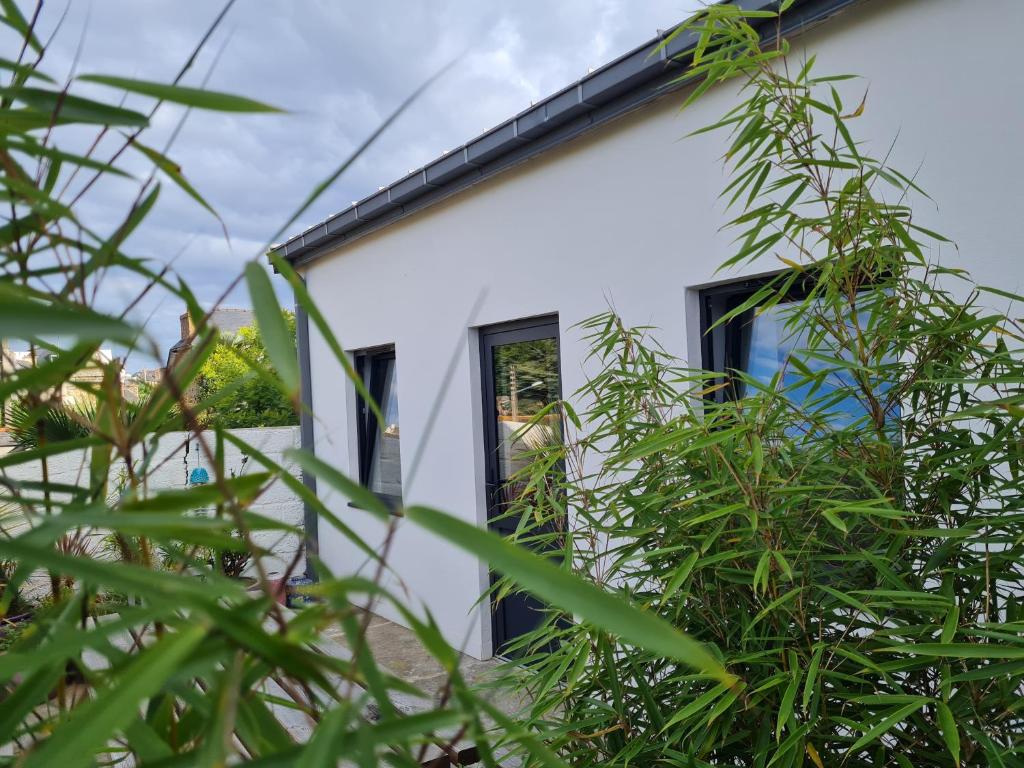 Studio en plein centre-ville de Perros-Guirec - 2