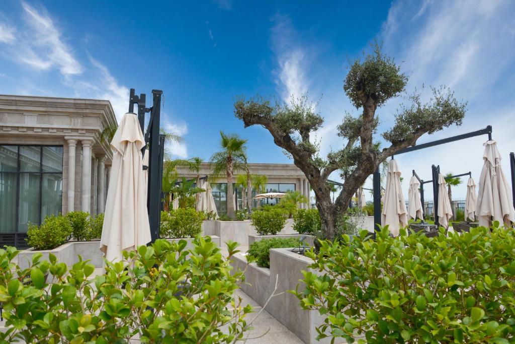 Jardin