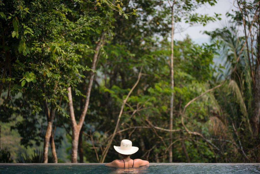 Sweet Songs Jungle Lodge photo