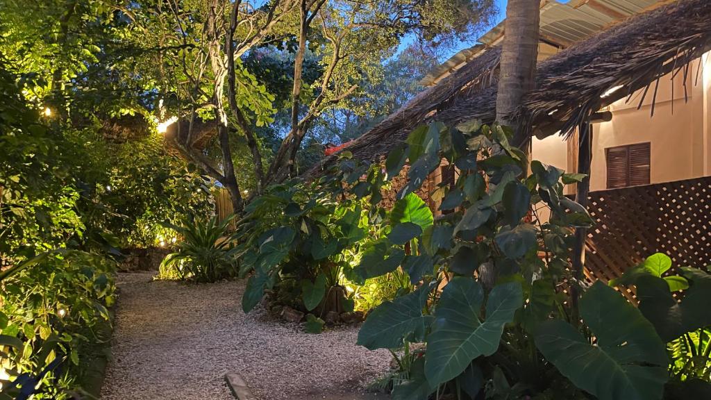Atii Garden Bungalows photo
