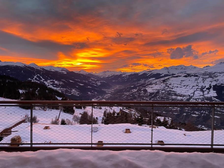 Appartement Haute gamme ski aux pieds, piscine, sauna. - 3